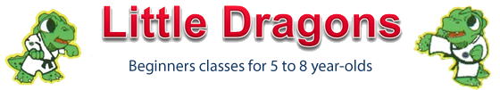 little dragons Jan 2014 banner ad