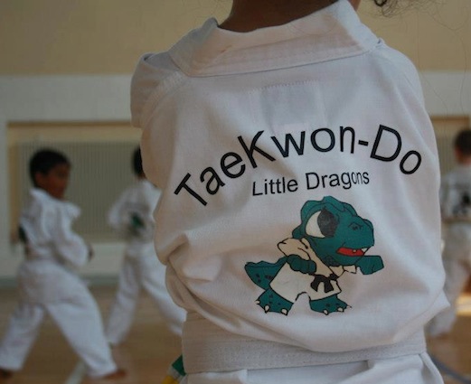 little dragon image on back of suit
